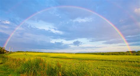 Can rainbows form in a circle? Fun facts on the physics of rainbows